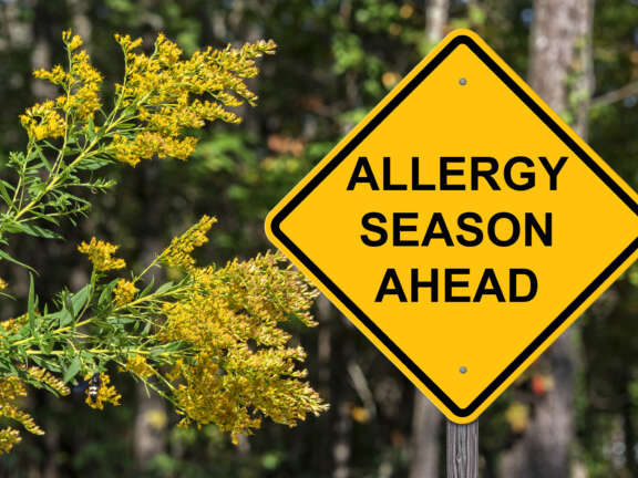 Allergy Season Yellow Street Sign